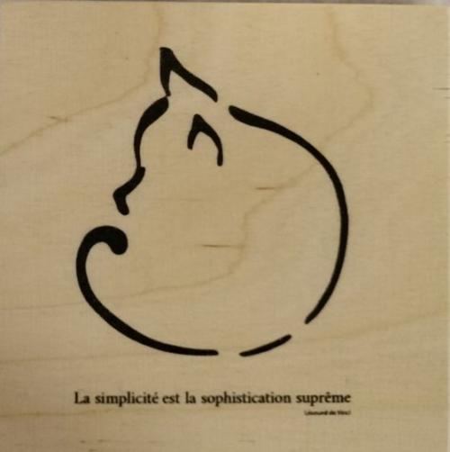 Dessous de verre chat rond